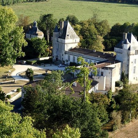 Chateau De Mornay Saint-Pierre-de-l'Isle Buitenkant foto