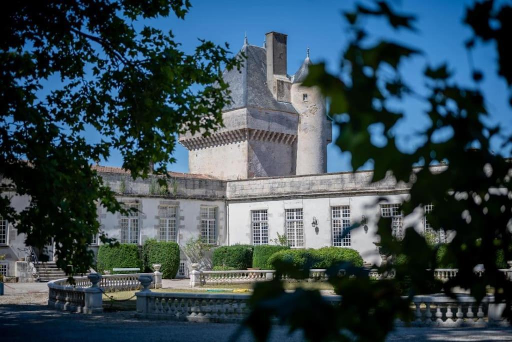 Chateau De Mornay Saint-Pierre-de-l'Isle Buitenkant foto