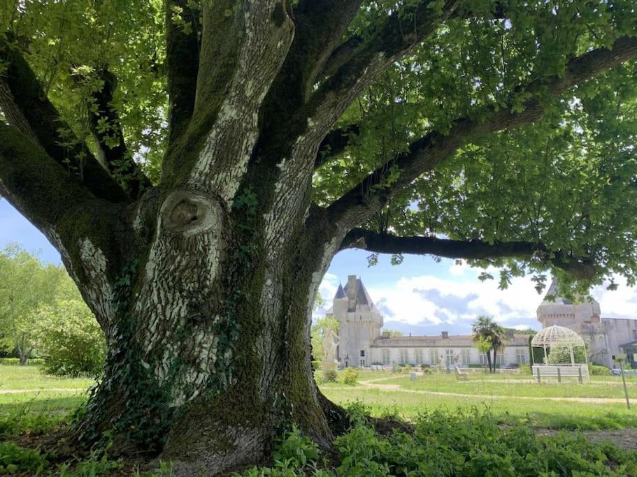 Chateau De Mornay Saint-Pierre-de-l'Isle Buitenkant foto